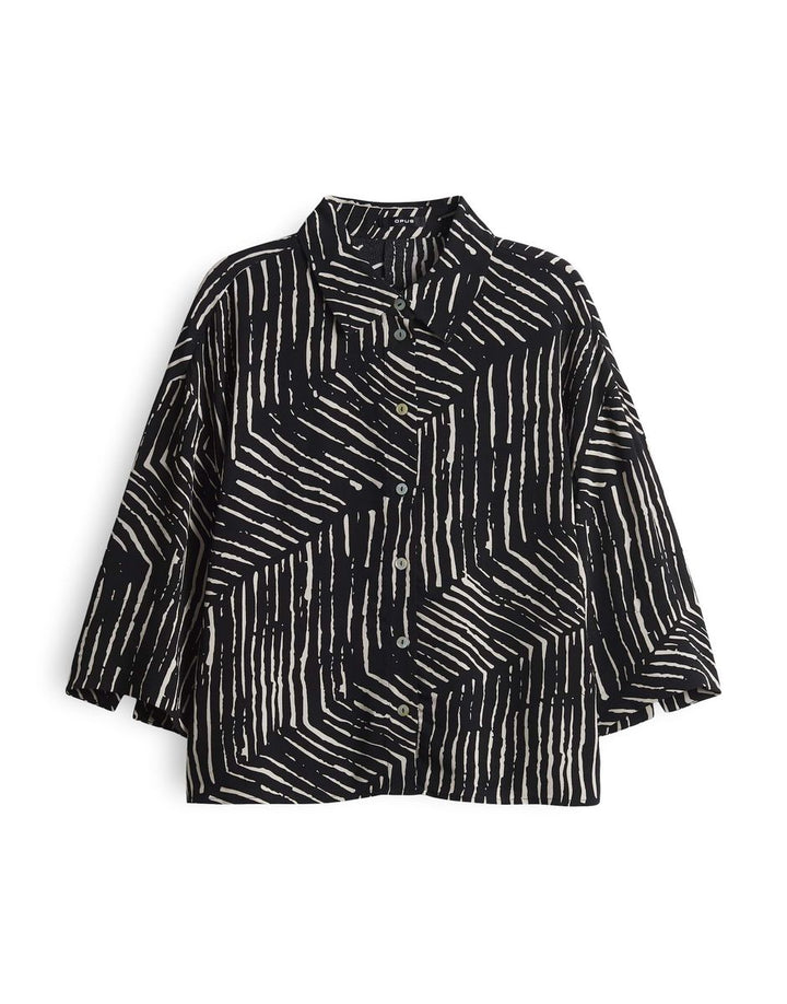 Fiana palm leaves