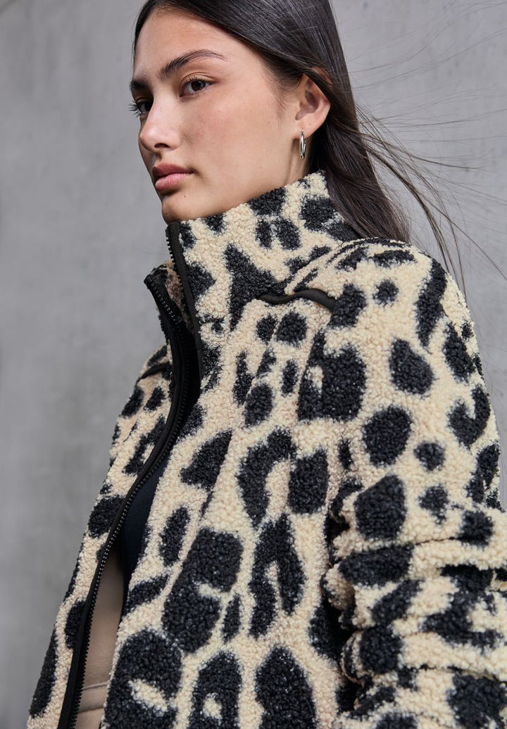 Leo Teddy-Jacke