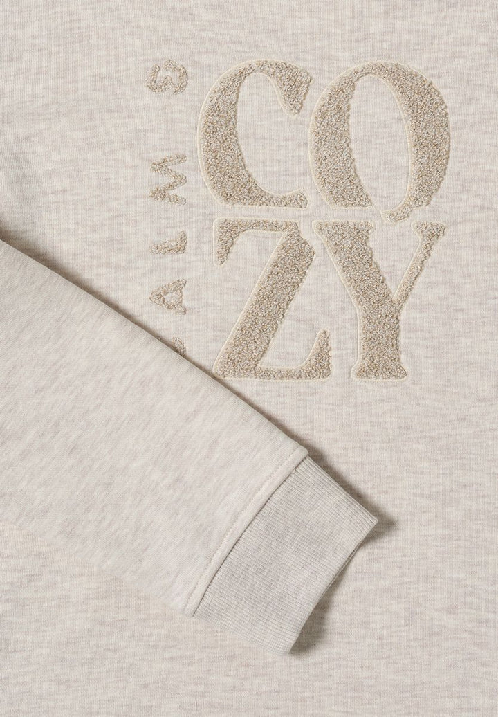 Pullover mit Embroidery