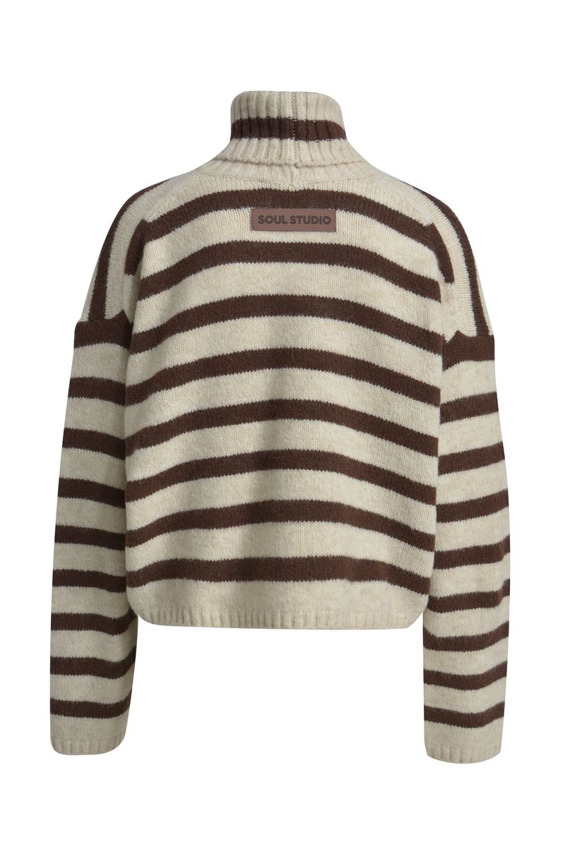Striped Boxy Turtle Neck Pullover