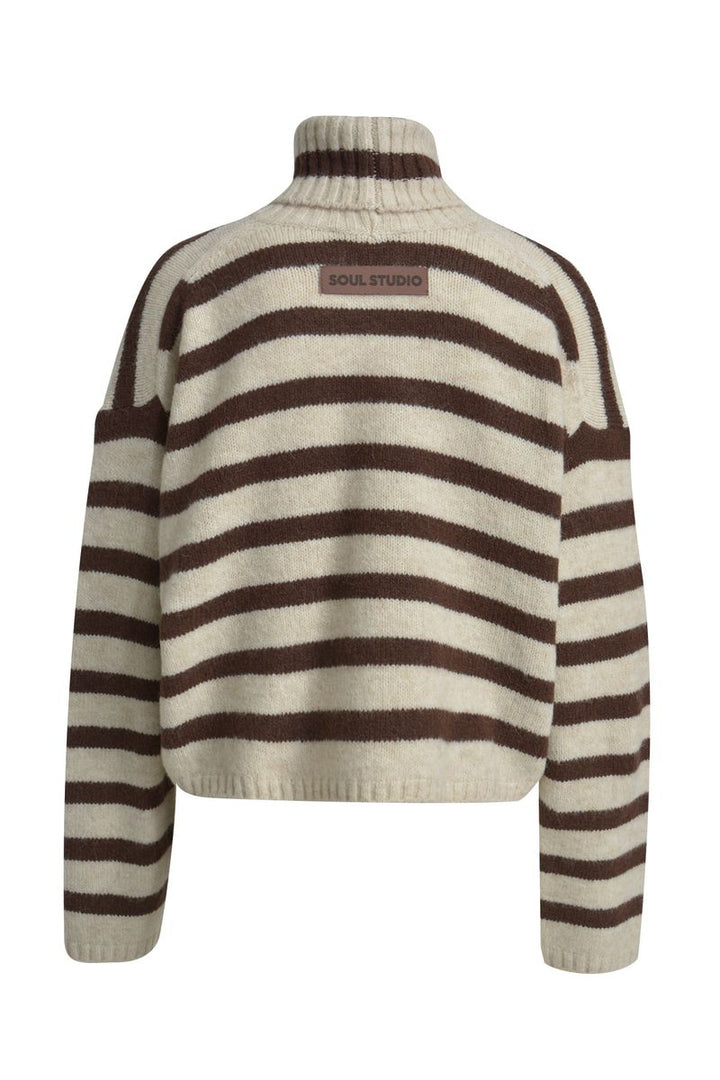 Striped Boxy Turtle Neck Pullover