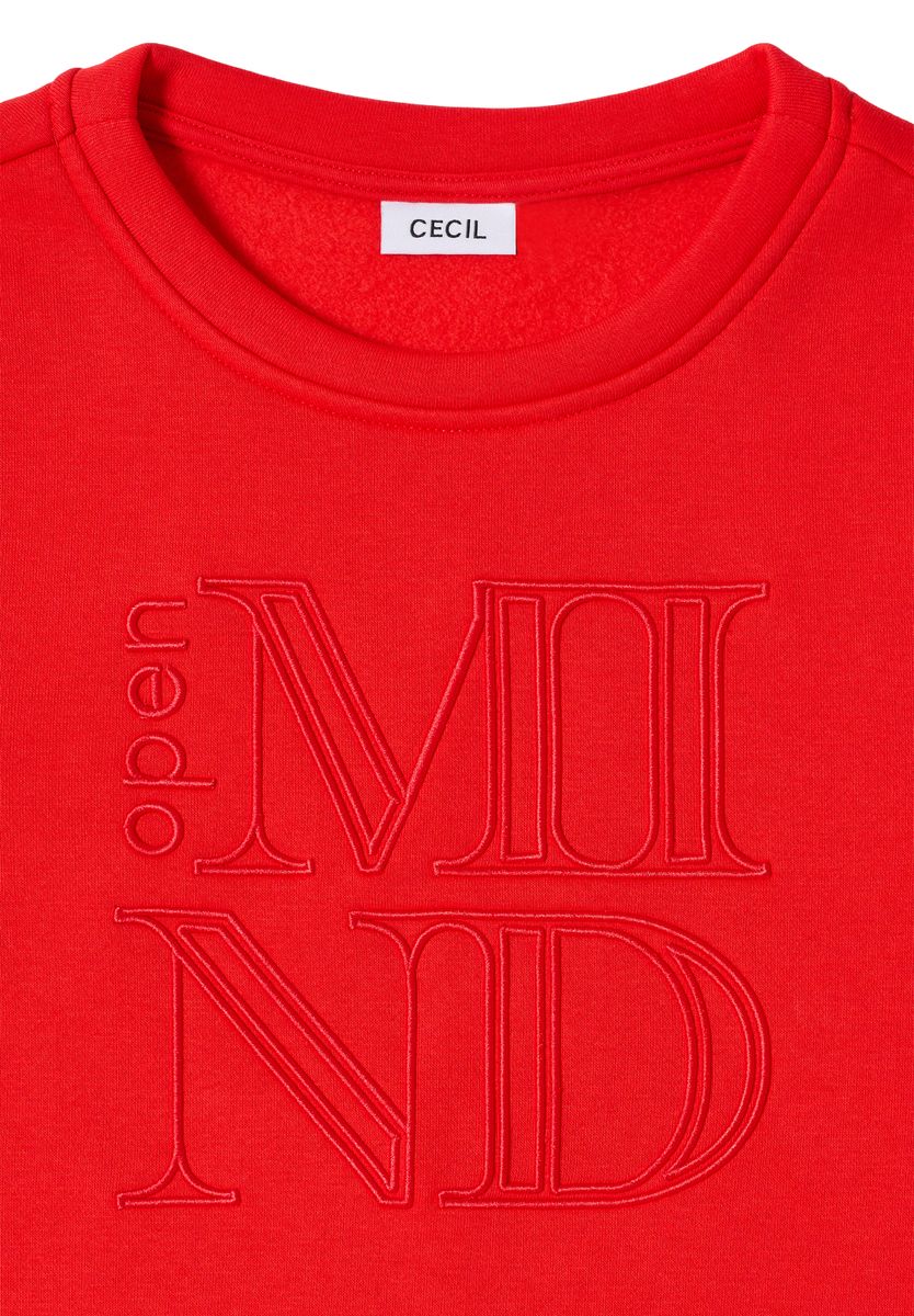 Sweatshirt mit Stickerei