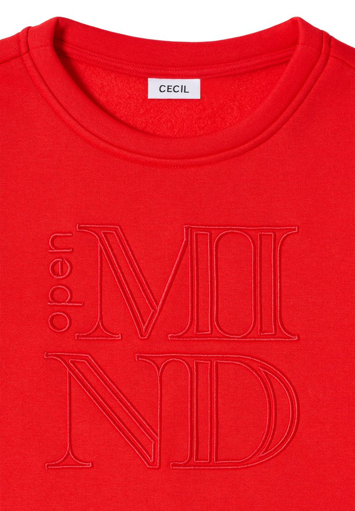 Sweatshirt mit Stickerei