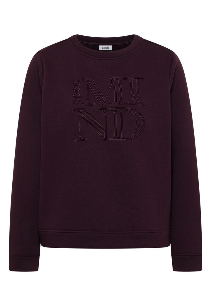 Sweatshirt mit Stickerei