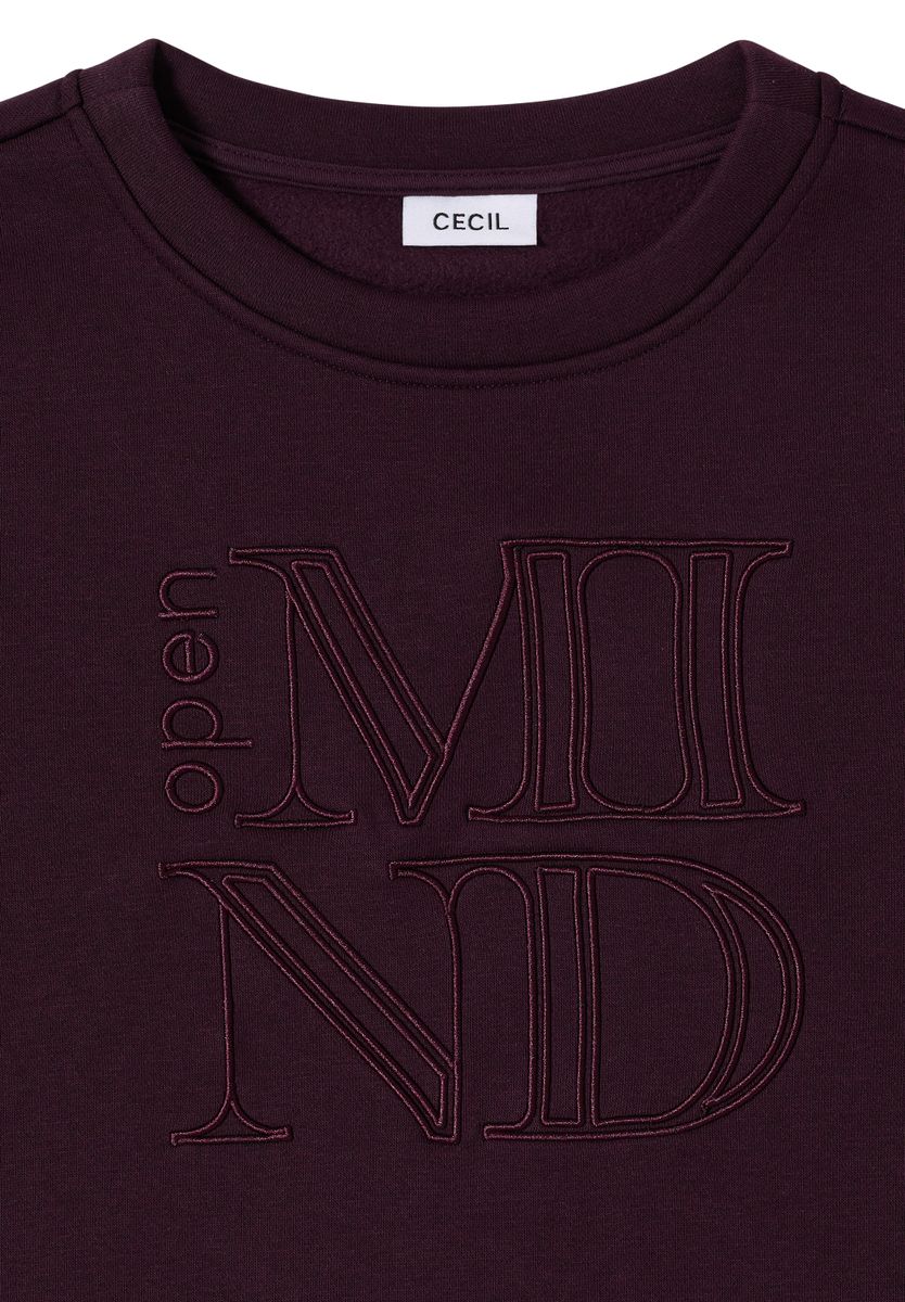 Sweatshirt mit Stickerei