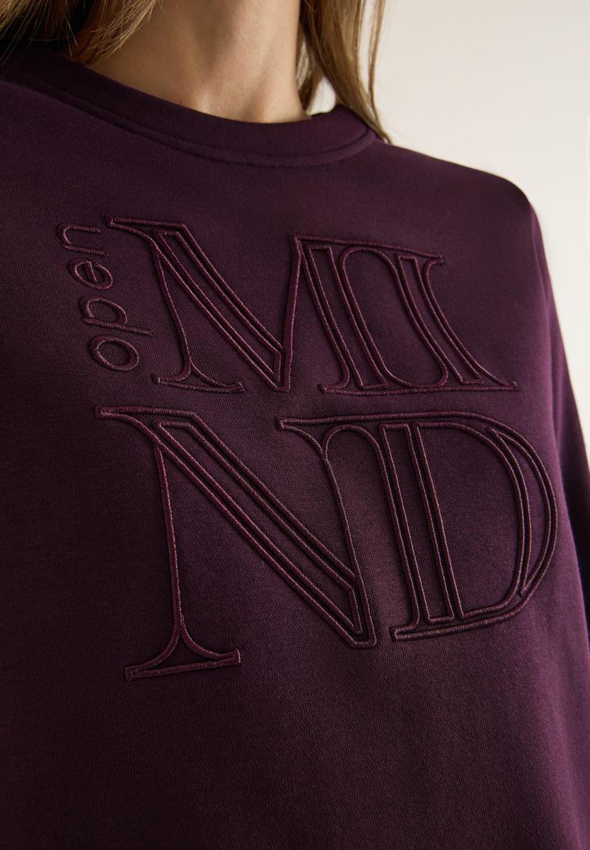 Sweatshirt mit Stickerei