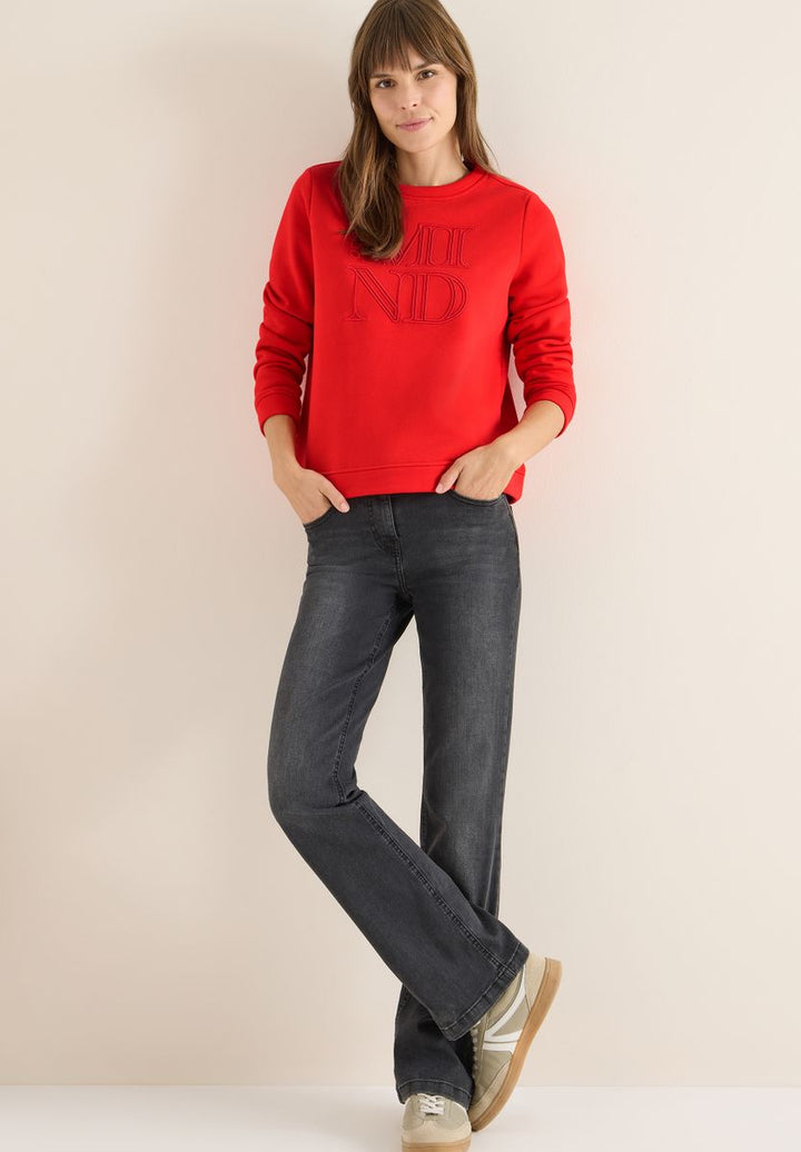 Sweatshirt mit Stickerei