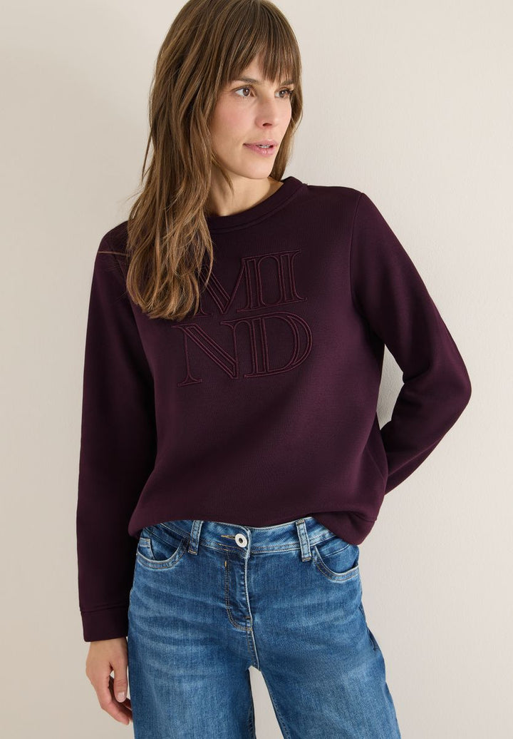 Sweatshirt mit Stickerei