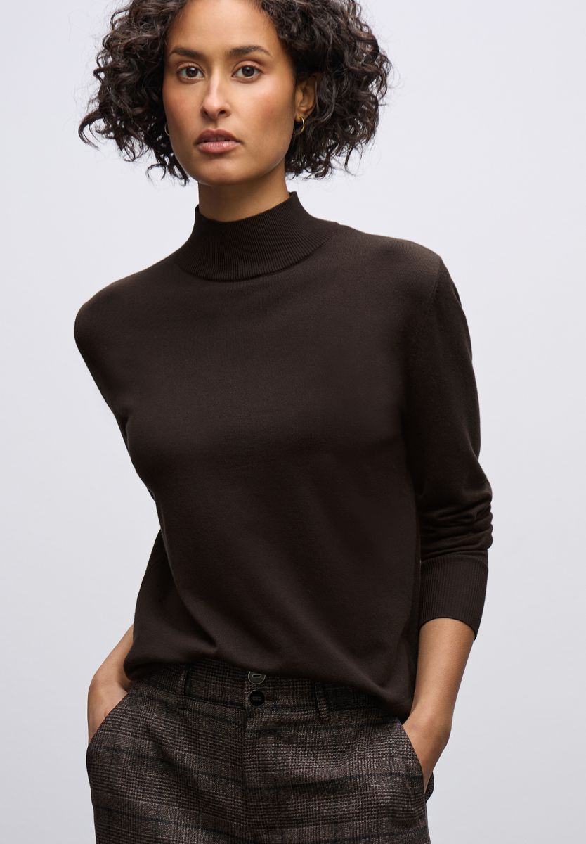 Pullover mit Turtleneck