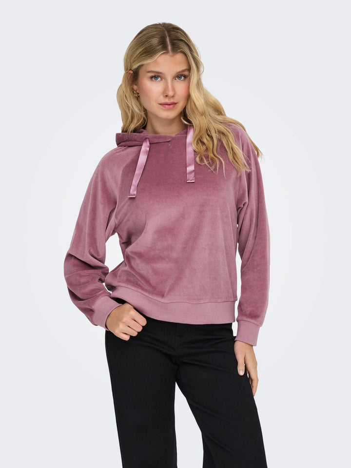JDYVIDA L/S VELVET HOODIE TOP JRS DIA