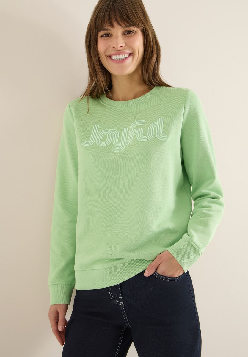 Sweatshirt mit Stickerei