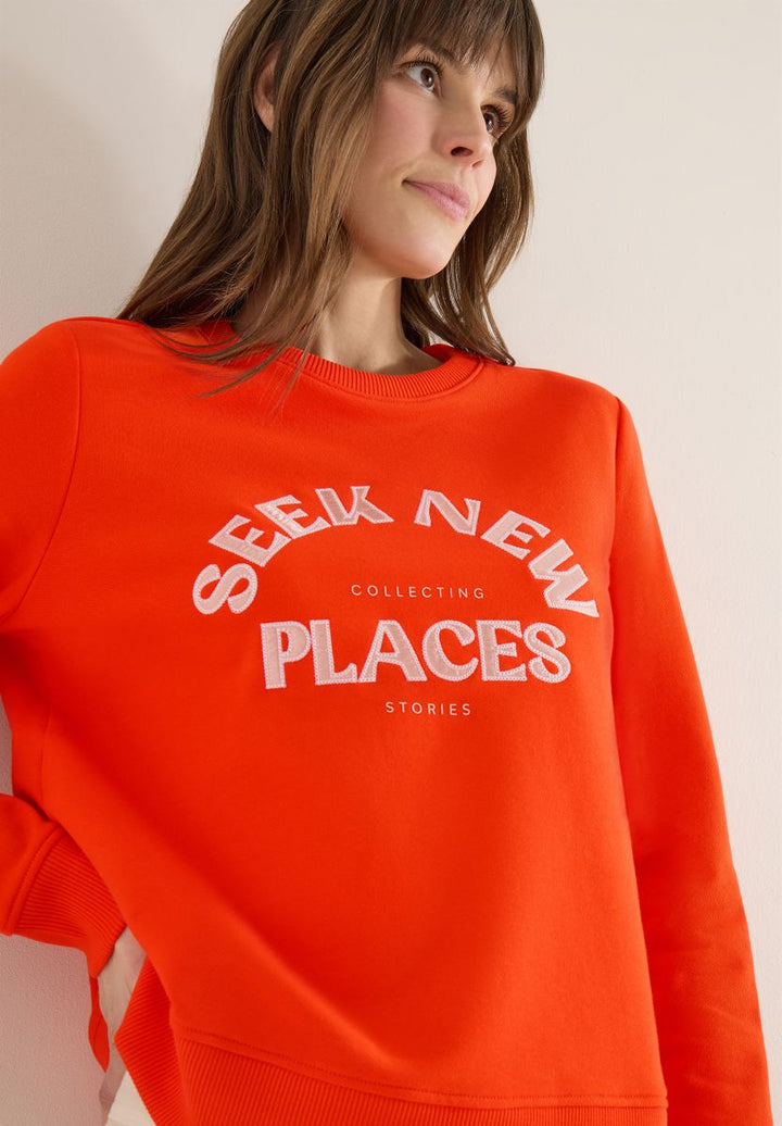 Embroidery Sweatshirt