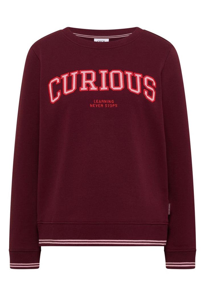 Sweatshirt mit Rundhals und Stickerei