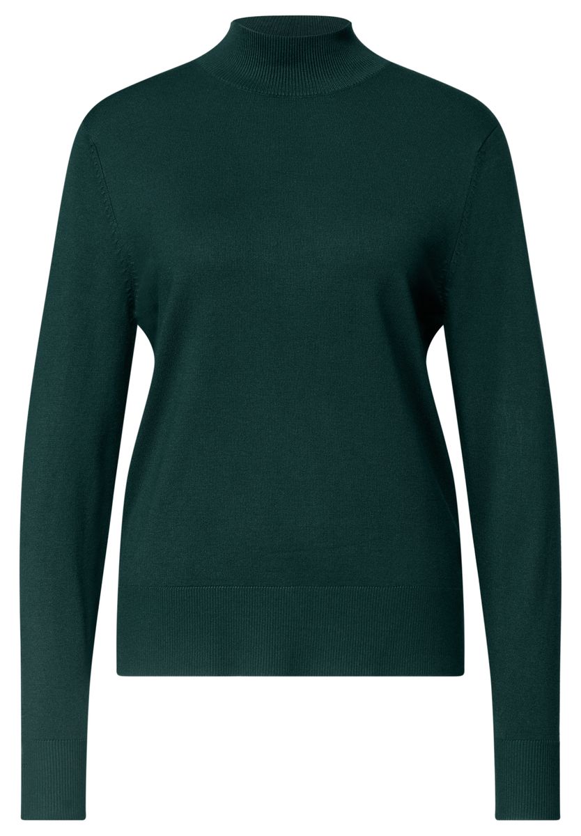 Basic Pullover mit Turtle Neck