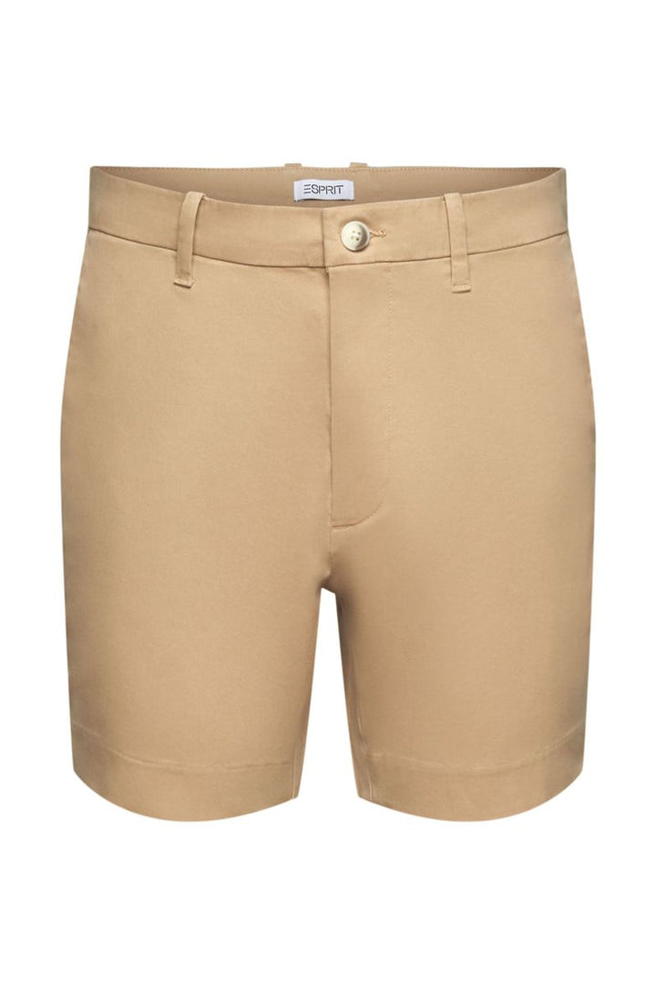 Men Shorts woven regular