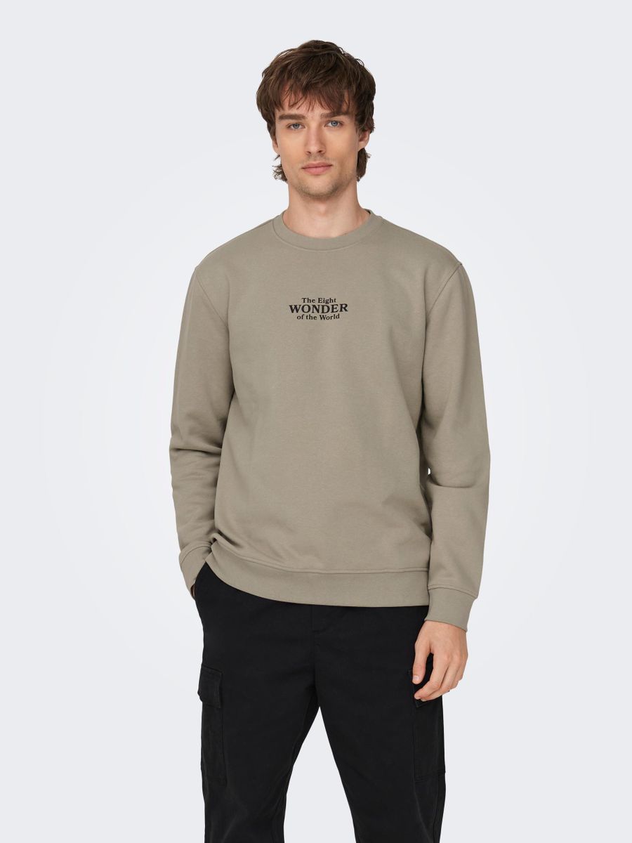 ONSCELEBRITY REG CREW NECK SWT